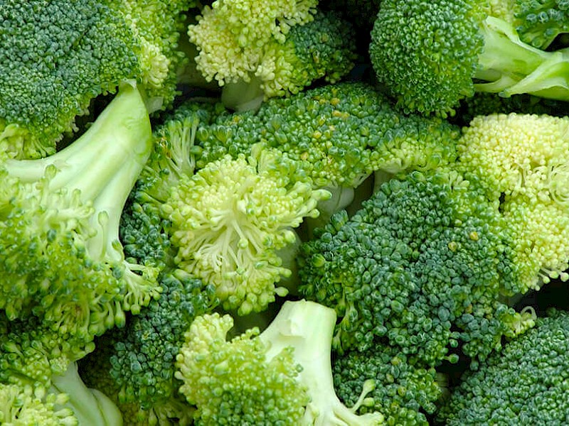 Broccoli