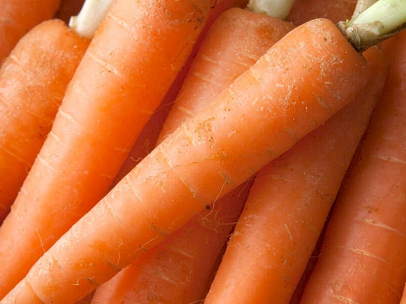 Carota