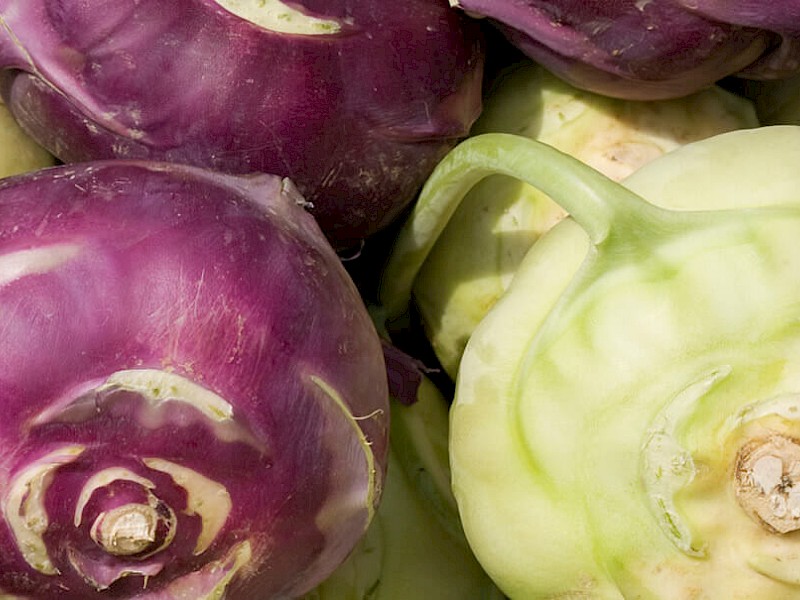 Kohlrabi