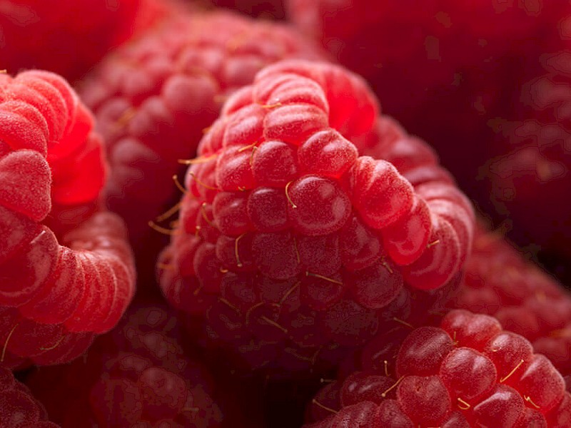 Framboise