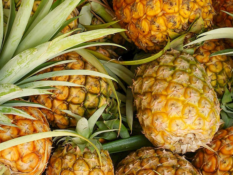 Ananas