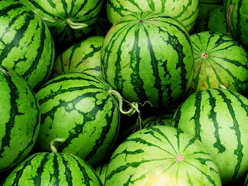 Wassermelone