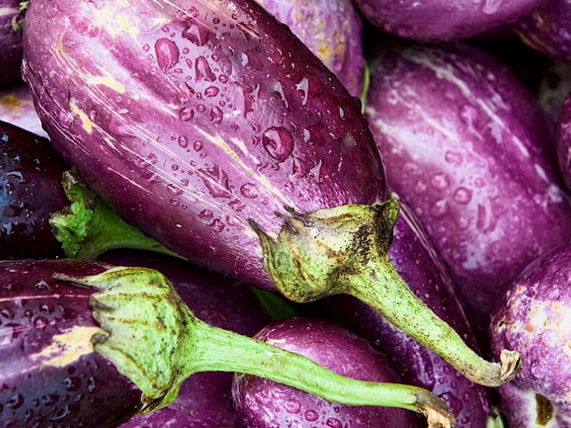 Aubergine