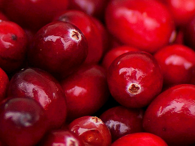 Cranberry