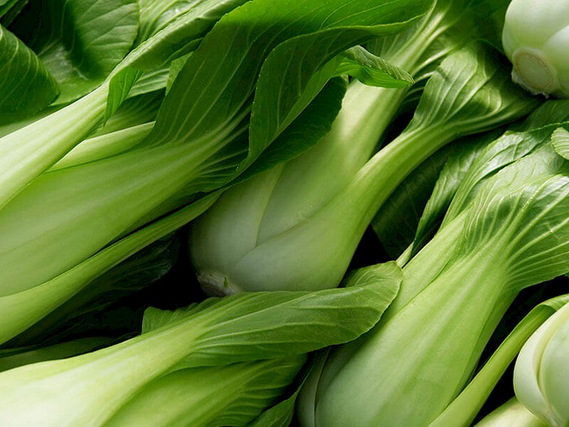 Pak-Choi